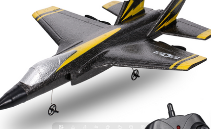 FX820 Mini RC Electric Fighter Jet – Hand Launch and Dual Battery
